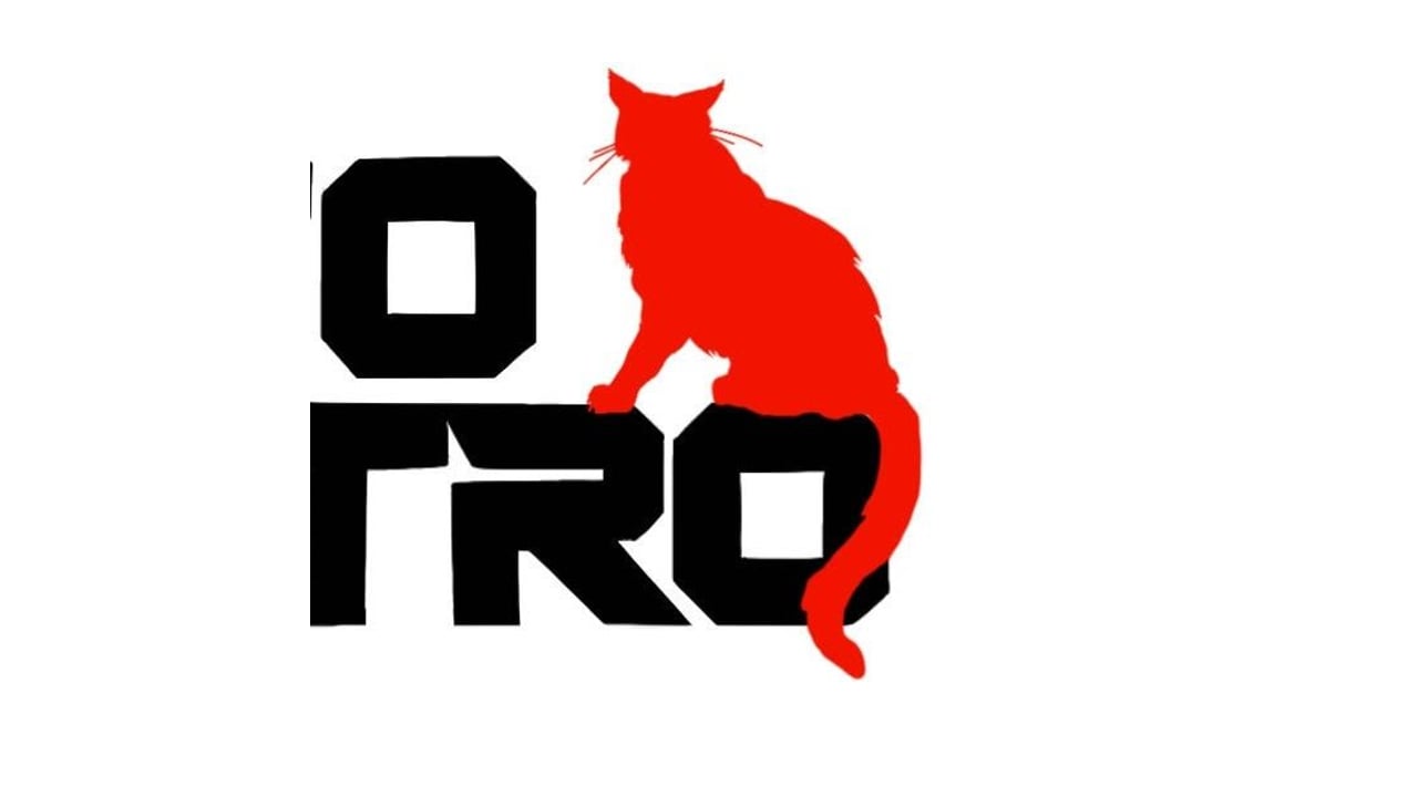 Gato Maestro