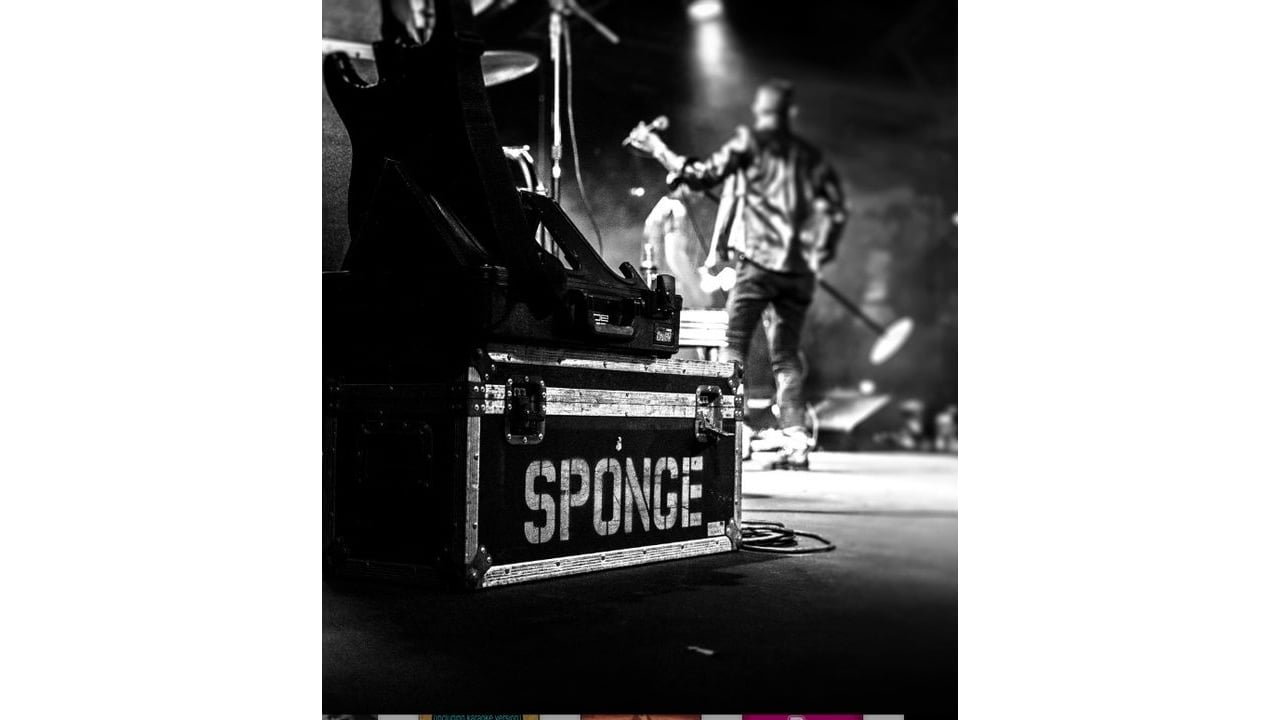 Sponge