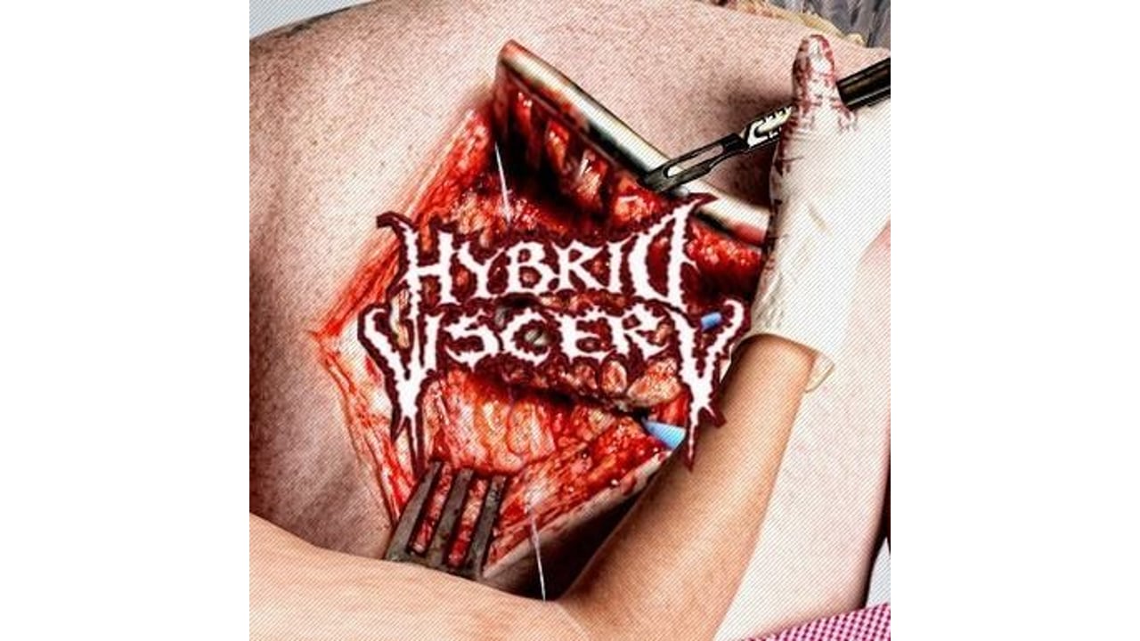 Hybrid Viscery