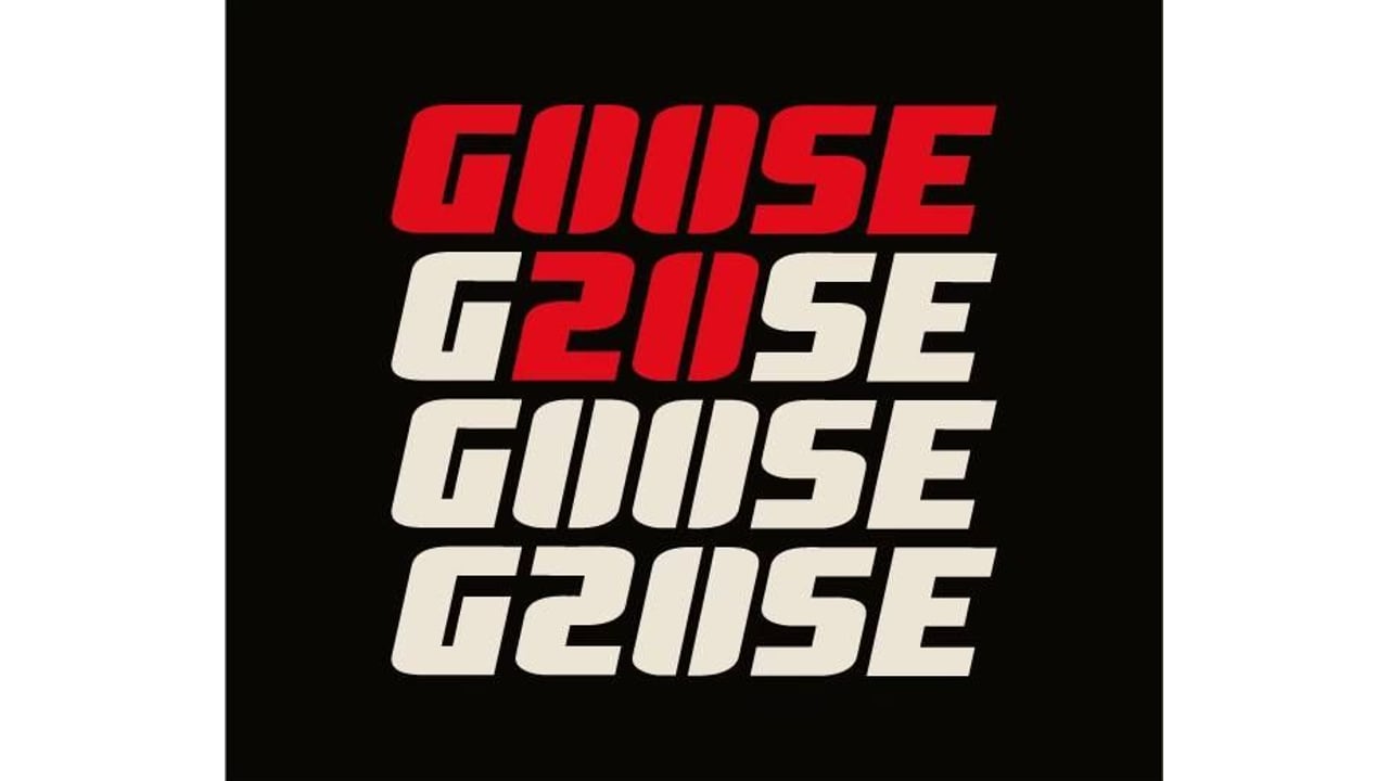 The Goose