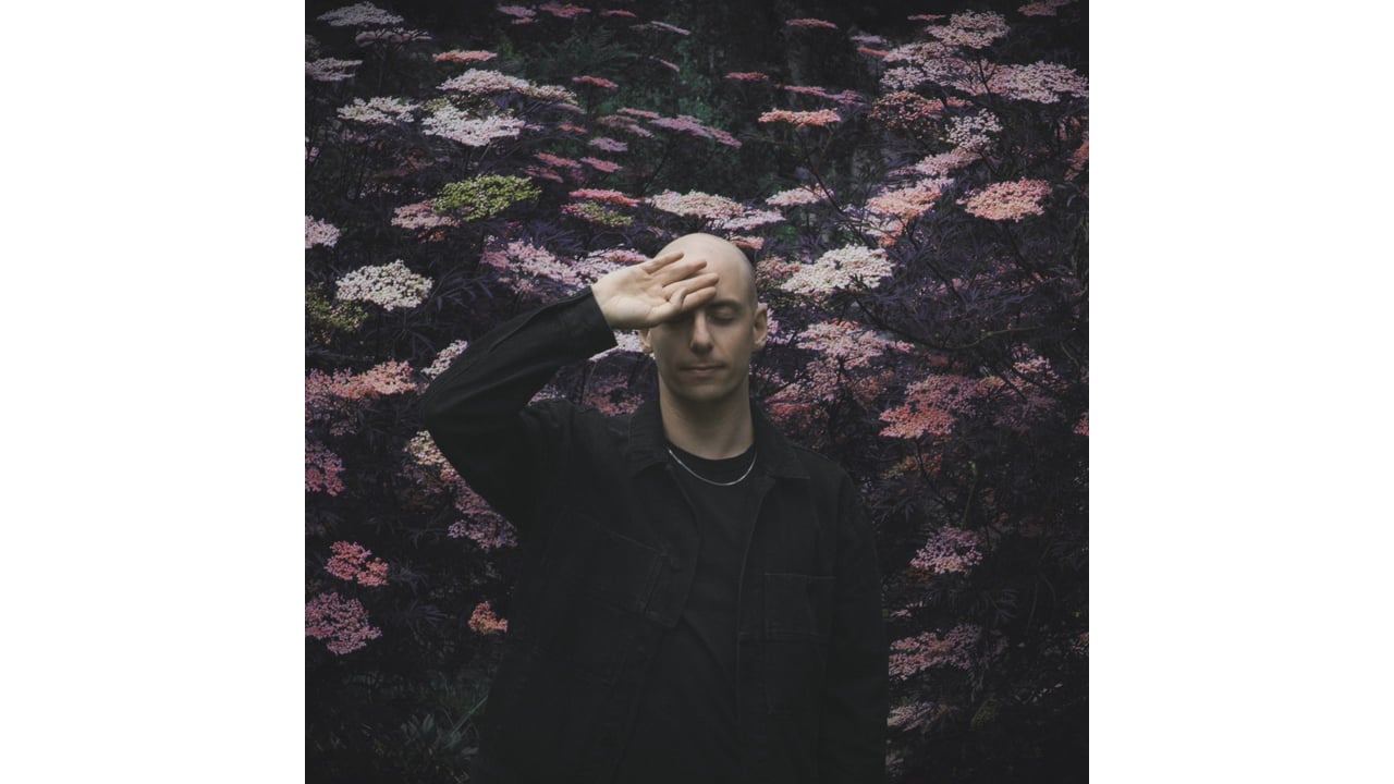 Palms Trax