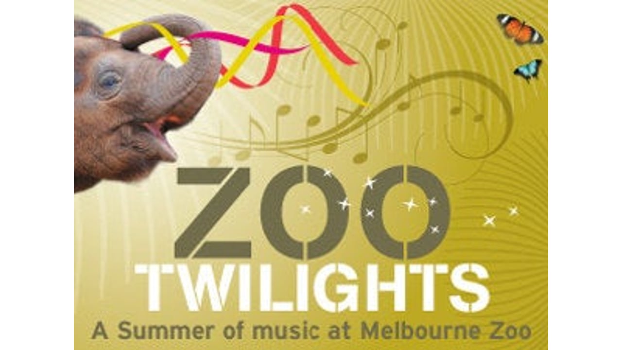 Zoo Twilights