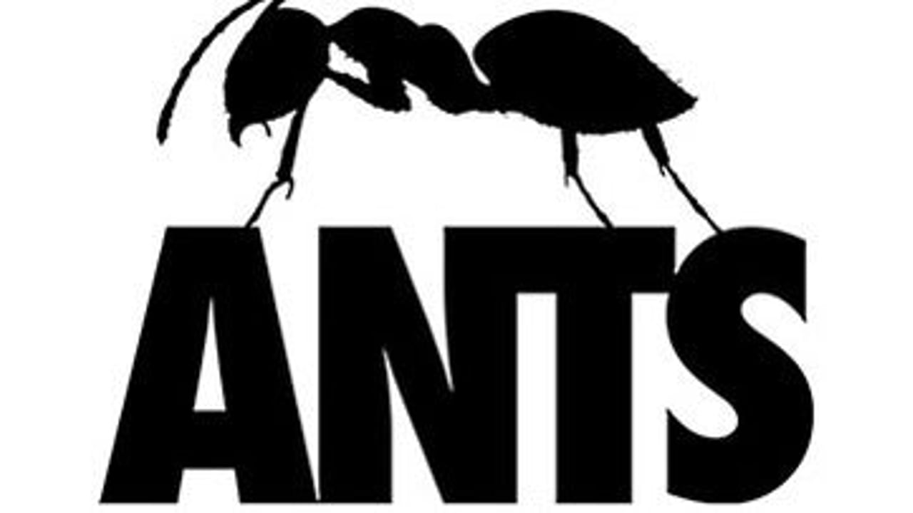 Ants