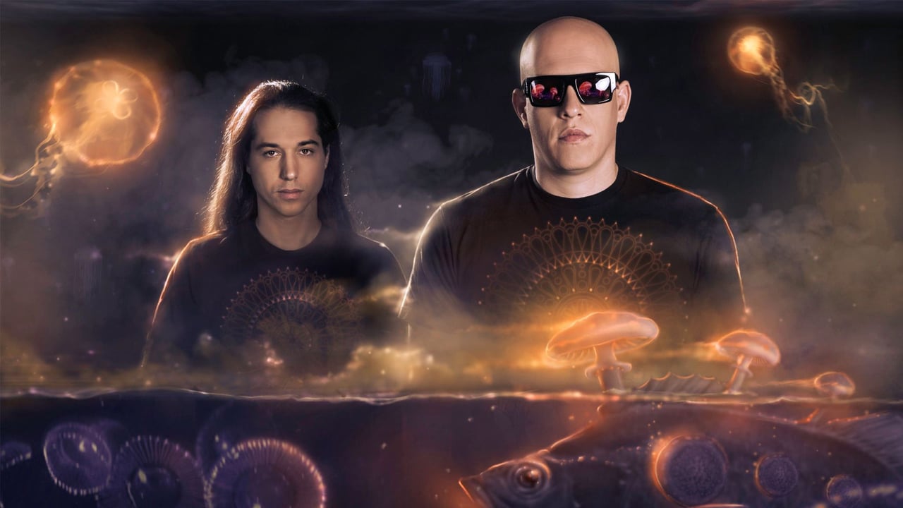 Infected Mushroom