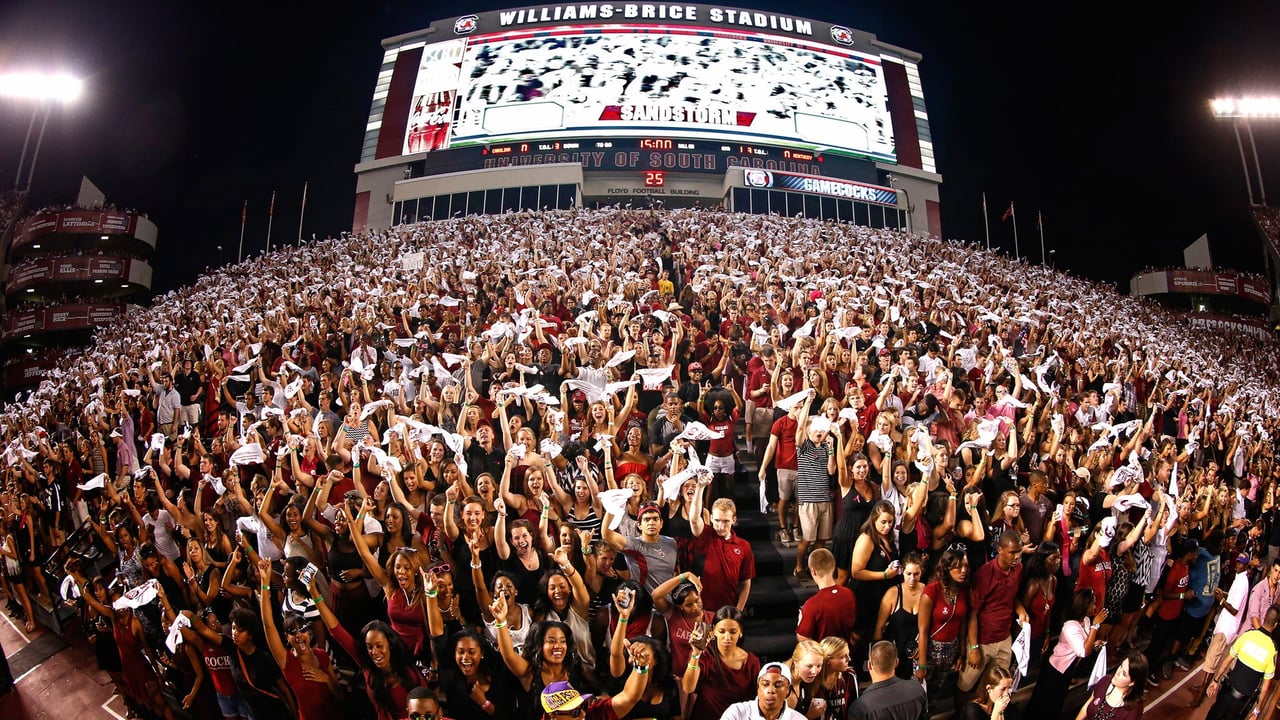 Univ of South Carolina Gamecocks Football