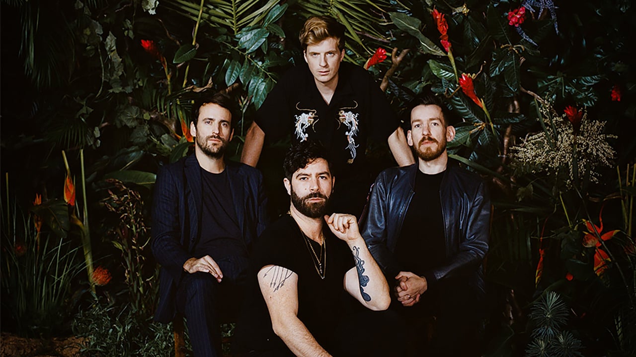 Foals