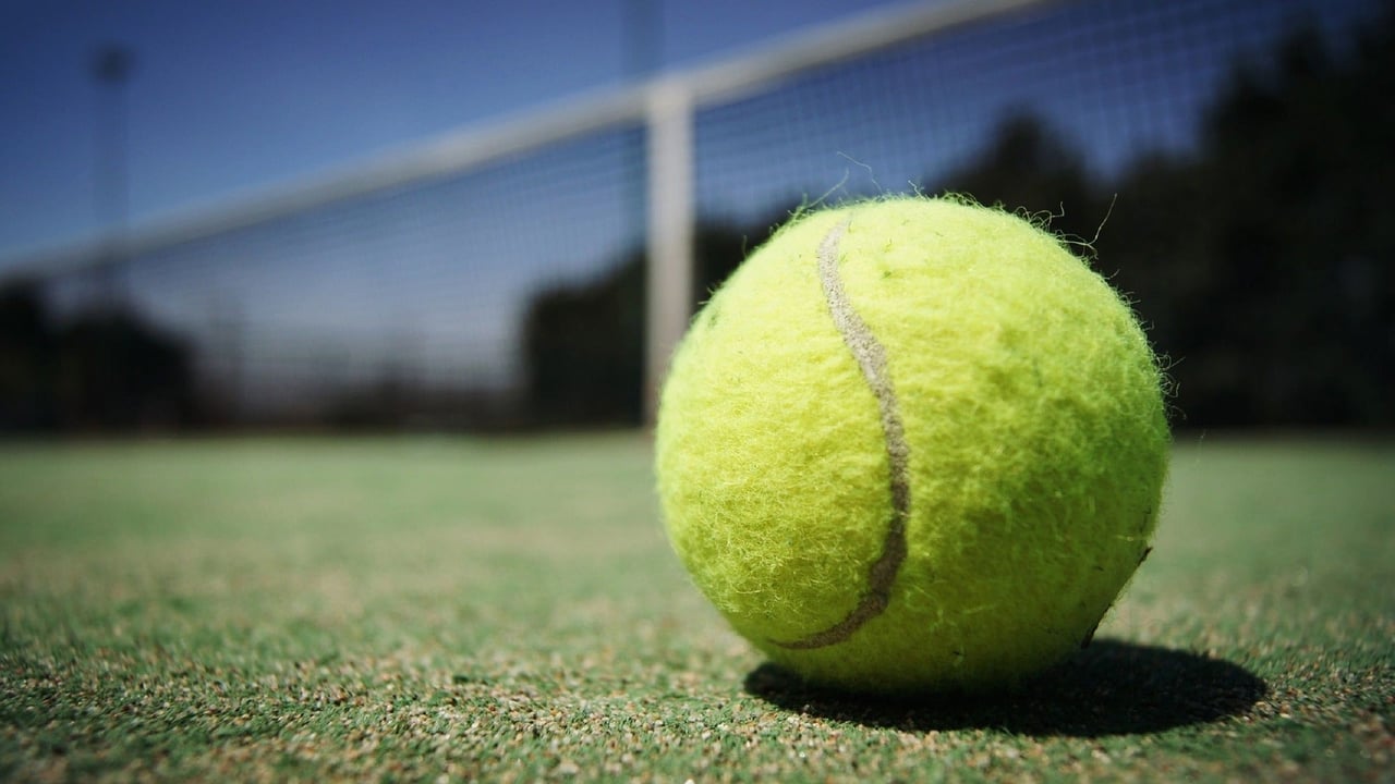 Atp Professional Tennis