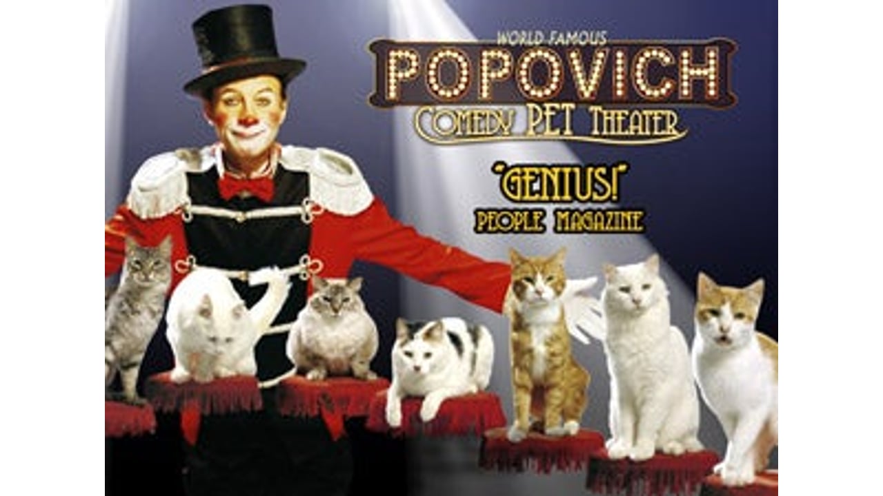 Popovich Comedy Pet Theater
