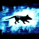 The Australian Pink Floyd Show