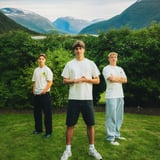 Fjellrev