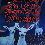 Book NOT Brooke | Sofia D'Angelo | Esther Kohl | Kinneret