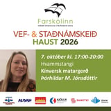 Kínversk matargerð - Hvammstangi