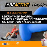 Leikfimi m. Snorra í Bólstaðarhlíð 43 #BeActive í Reykjavík