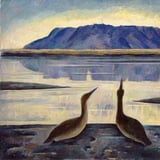 Krakkaklúbburinn Krummi 🎨 Listasmiðja: Leyndardómur lómanna