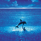 The Big Blue - Föstudagspartísýning á Franskri kvikmyndahátíð!