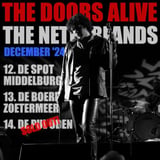 The Doors Alive
