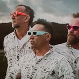 Regurgitator