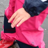 Barna- og fjölskylduferð. Fjöruferð