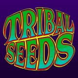 Tribal Seeds @ The Novo
