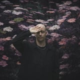 Palms Trax