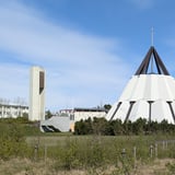 Burtu frá hjörðinni