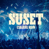 Suset Festival 2026 - 1-dag / Fredag