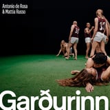 Garðurinn