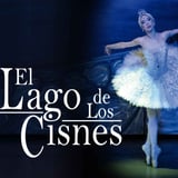 El Lago De Los Cisnes