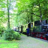 Steampunk meets Steamtrain (Dampfzug) (Hin- und Rückfahrt)