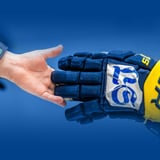 Lukko - Ilves