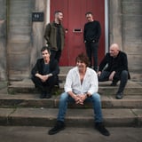 The Chameleons