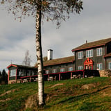 «Mine rovdyrmøter» – foredrag med Roger Brendhagen
