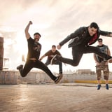 Zebrahead