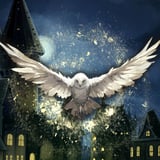 HOGWARTS MAGIC SYMPHONY