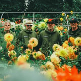 Super Furry Animals Plus Very Special Guests The Beta Band