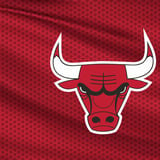 Chicago Bulls 26-27