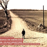 Foredrag om amerikansk musik- og kulturhistorie: That old evil spirit