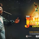 The James Brown Experience