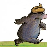 Meneer Monster: Over een kleine mol