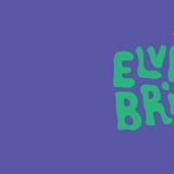 ELVEBRIS 2027 - FESTIVALPASS