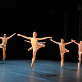 LE LAC DES CYGNES - BALLET PRELJOCAJ - LE LAC DES CYGNES