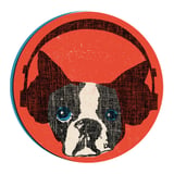 Snarky Puppy