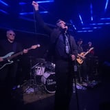 Viva Morrissey
