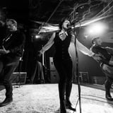 The March Violets
