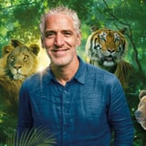 Gordon Buchanan: Lions and Tigers and Bears