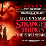 Stranger Things: The First Shadow