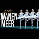 HET ZWANENMEER