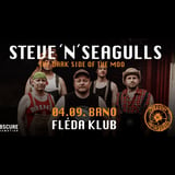 STEVE´N´SEAGULLS