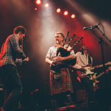 Peatbog Faeries