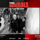 The Animals
